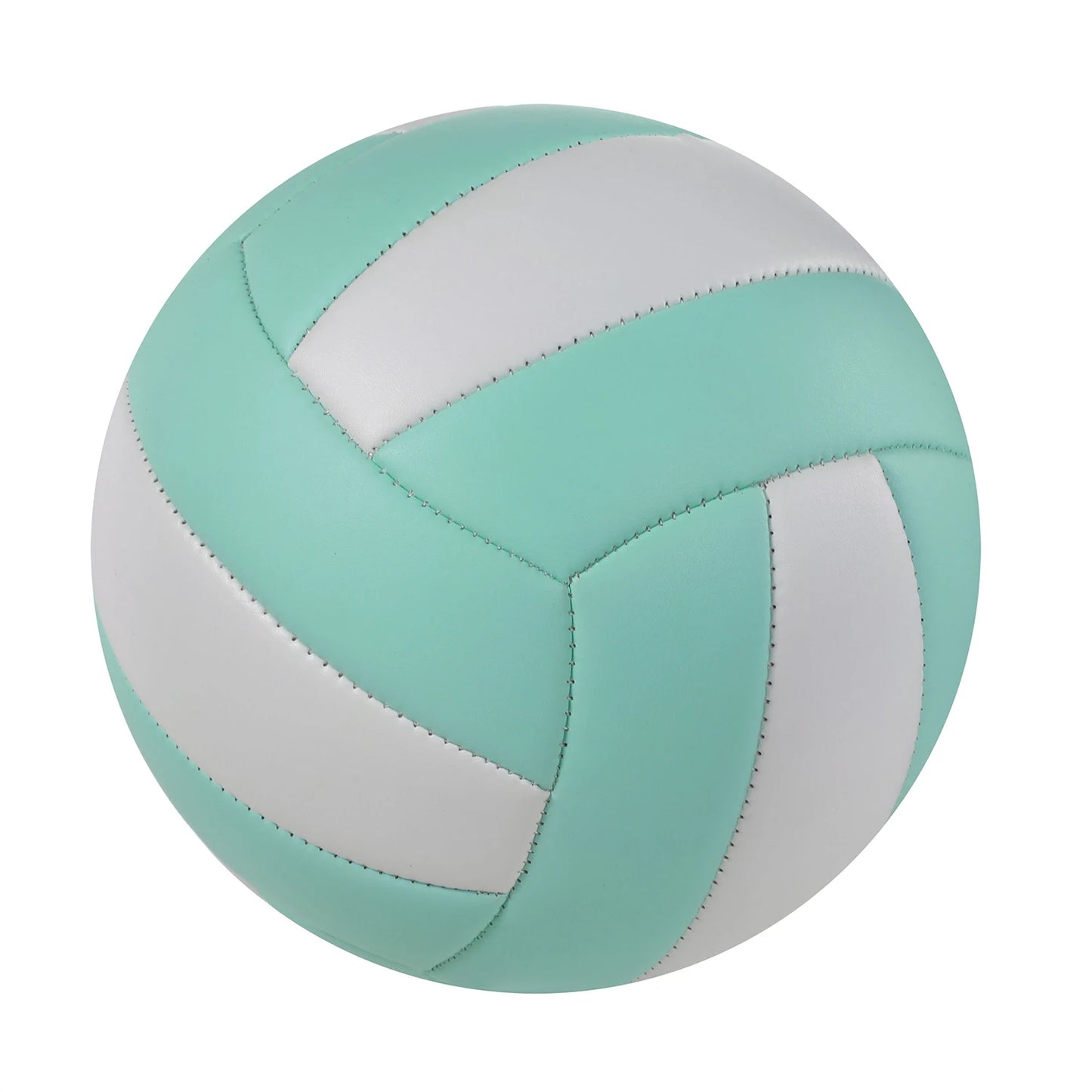 Volleyball – Professional Training & Match Ball