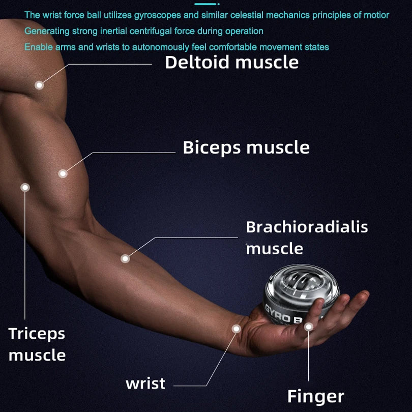 Gyro-Powerball Forearm Exerciser